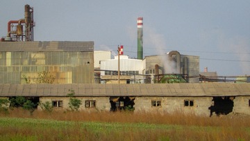 416439