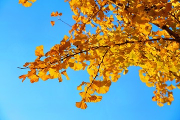 0CB82C19-0D8A-4A99-86C0-E4B22B8A7DA1/L0/001