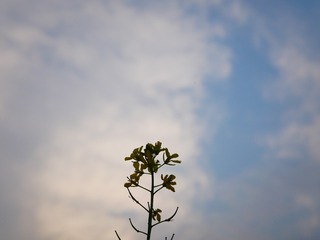 954863