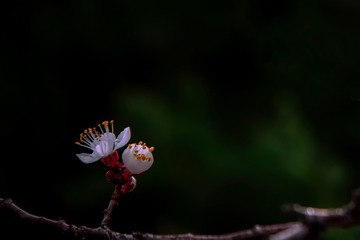 1280842