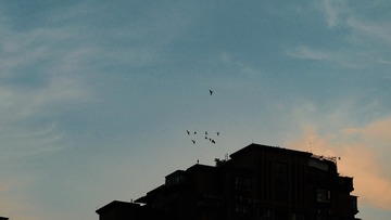 00F4E270-99DA-4903-A1BF-11F13E4D970B/L0/001