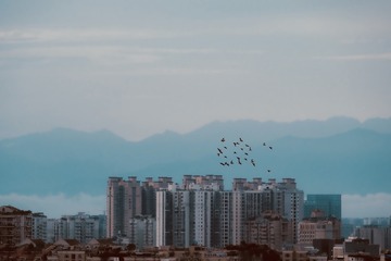 95DA4112-AF7D-4588-B021-639F99EA3681/L0/001