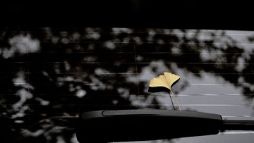 9049B317-065A-4E78-8DCB-E52CBC2192A2/L0/001