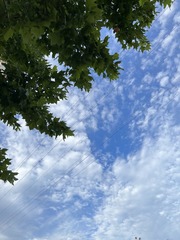 66941905-E8E0-4D29-848B-3F5FFE3A75F7/L0/001
