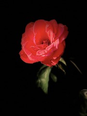 033D13F7-2A96-4641-A0AF-20E0ADDB9870/L0/001