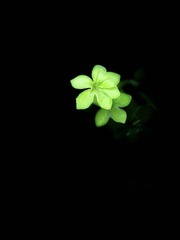 A0FC2ADC-A234-40B7-AEED-8761DEED5967/L0/001