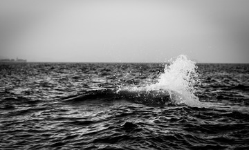 89686A64-676E-47BF-872E-A8377B63B8D9/L0/001