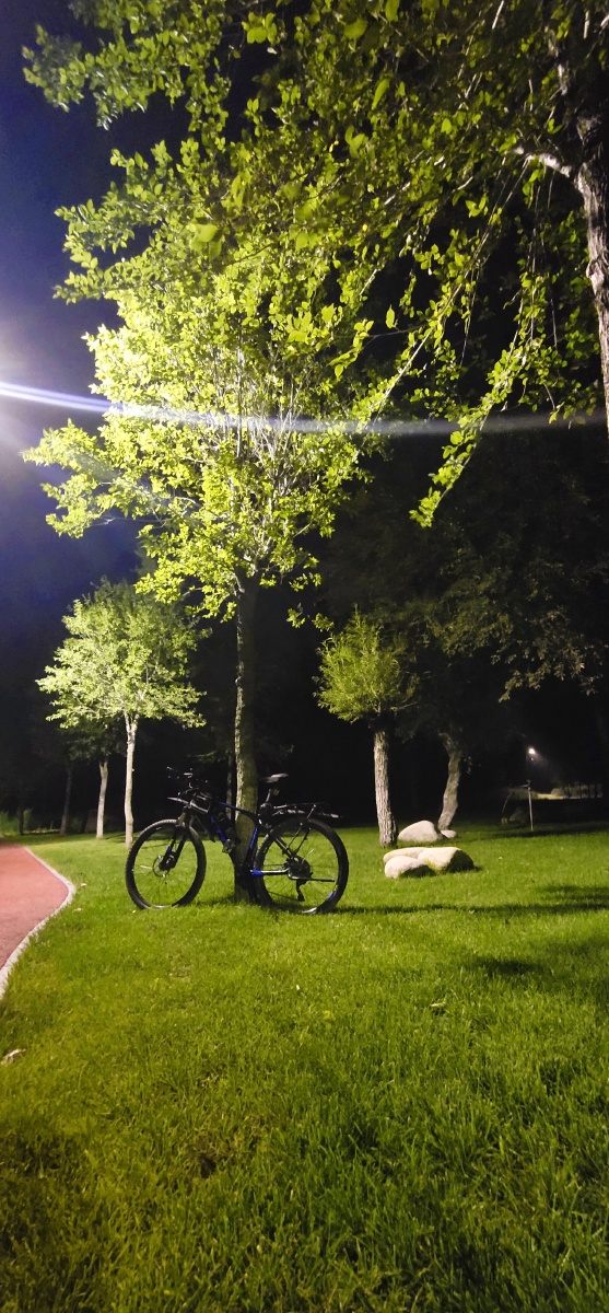 夏日晚风吹拂的感觉你们可知