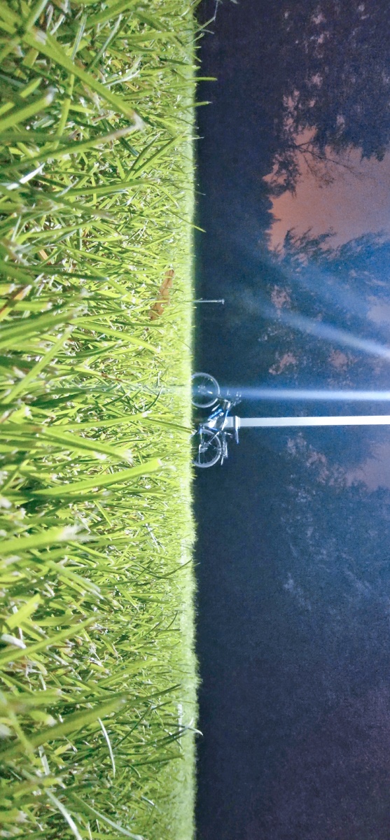 夏日晚风吹拂的感觉你们可知