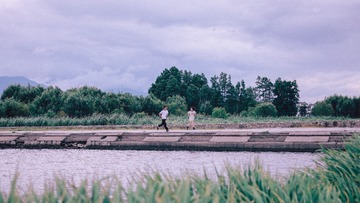 19081