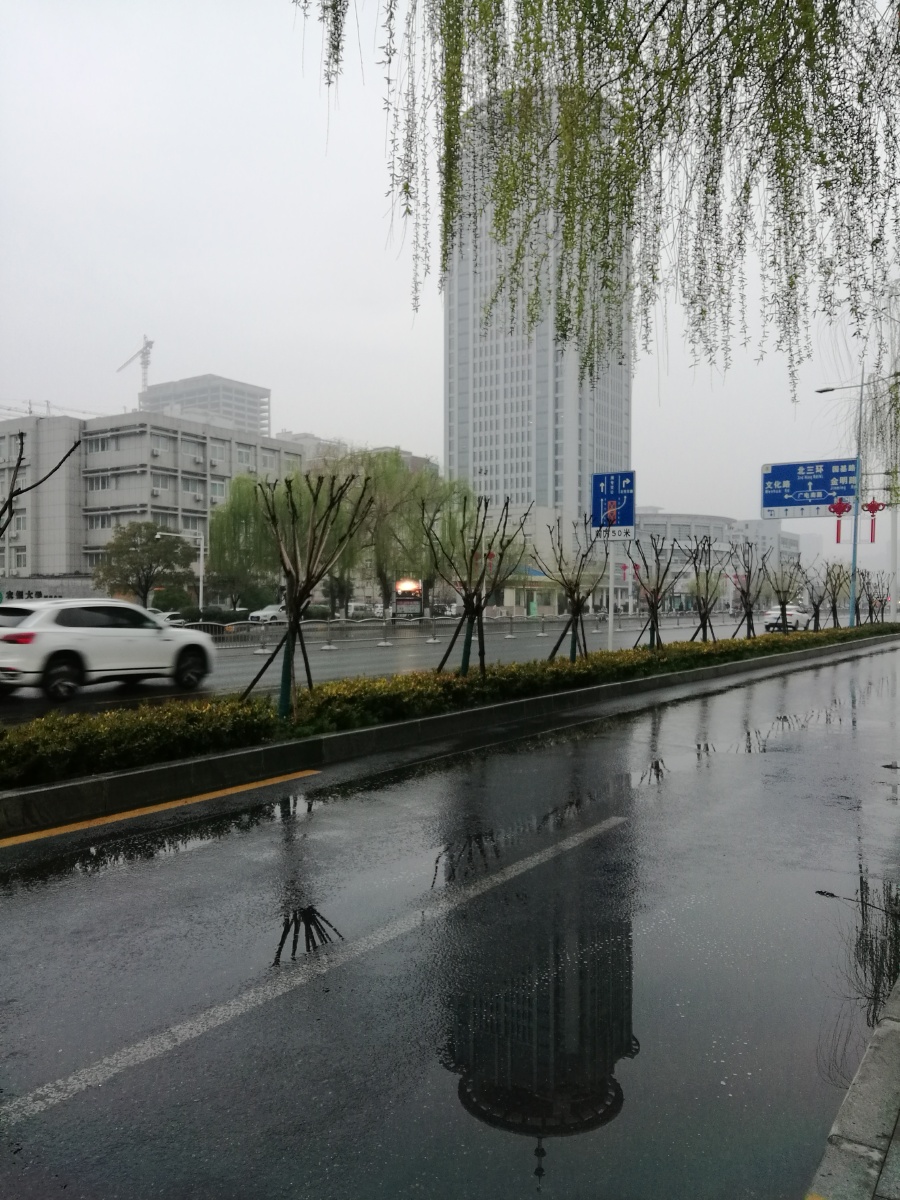 春夜喜雨过后的郑州市花园路的早晨