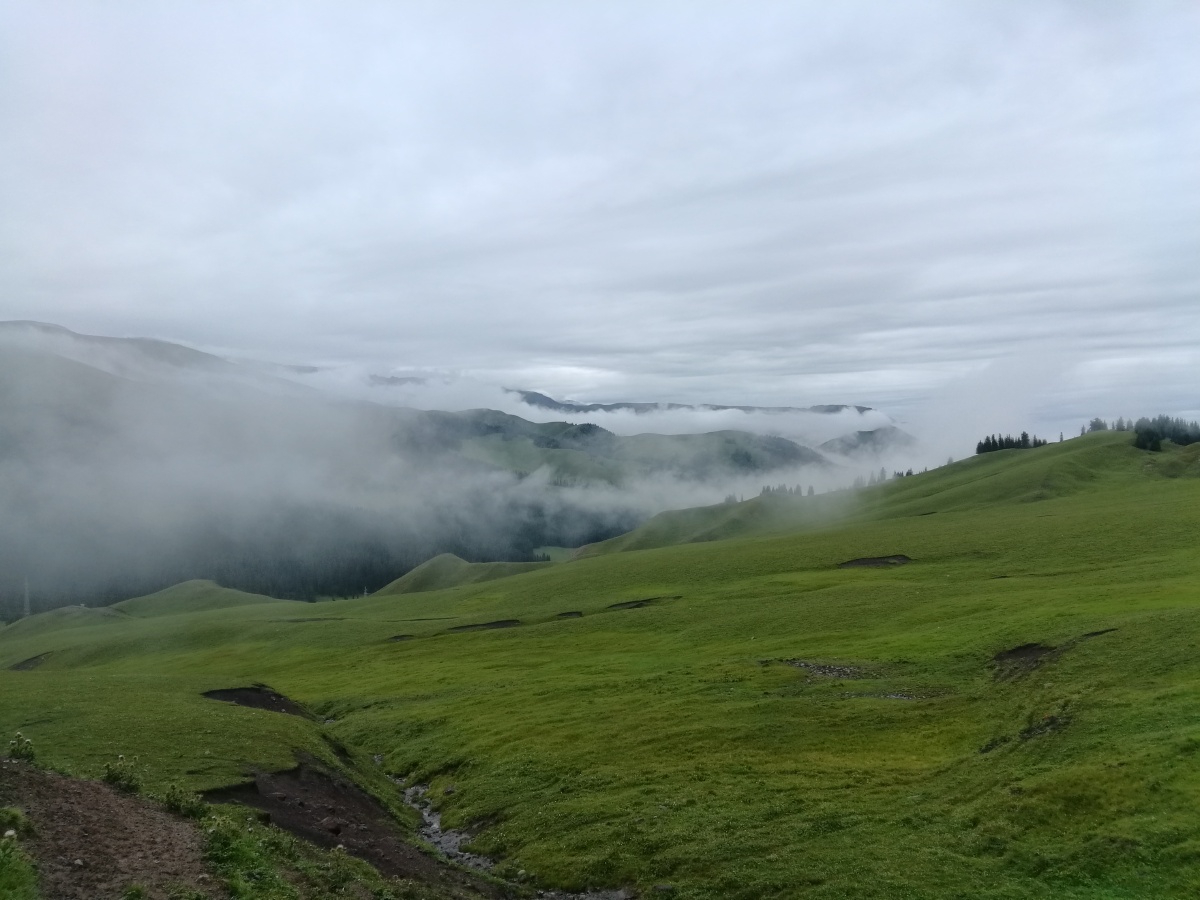 新疆巩乃斯艾肯达坂海拔高度3035米国道218蜿蜒曲折犹如云中之路