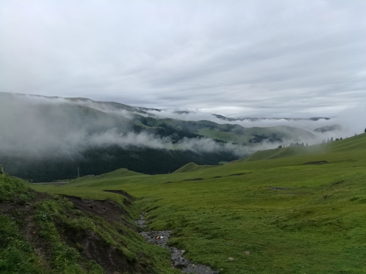 新疆巩乃斯艾肯达坂海拔高度3035米国道218蜿蜒曲折犹如云中之路