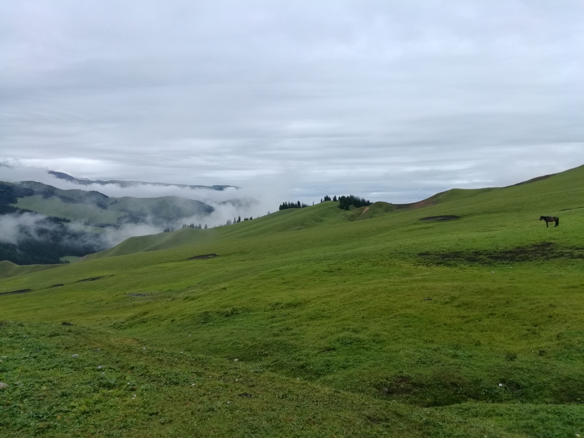 新疆巩乃斯艾肯达坂海拔高度3035米国道218蜿蜒曲折犹如云中之路