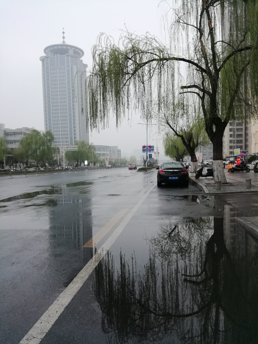 春夜喜雨过后的郑州市花园路的早晨
