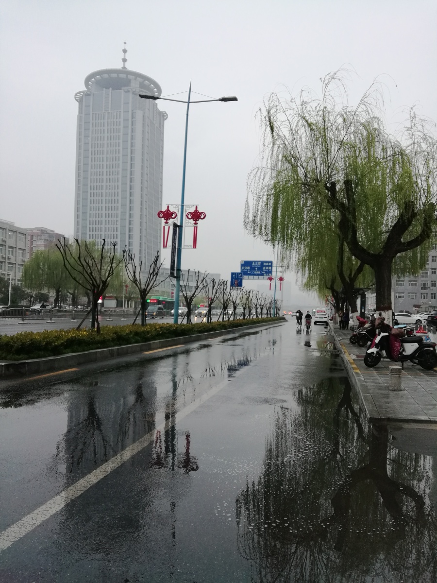 春夜喜雨过后的郑州市花园路的早晨