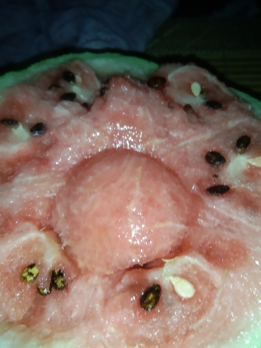 要不是西瓜碎了我可能还没有想到会在这里吃西瓜