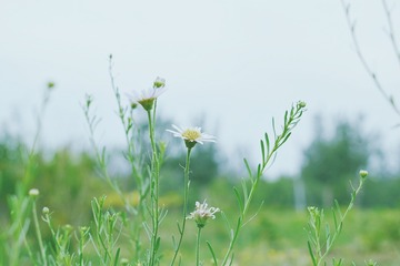985845