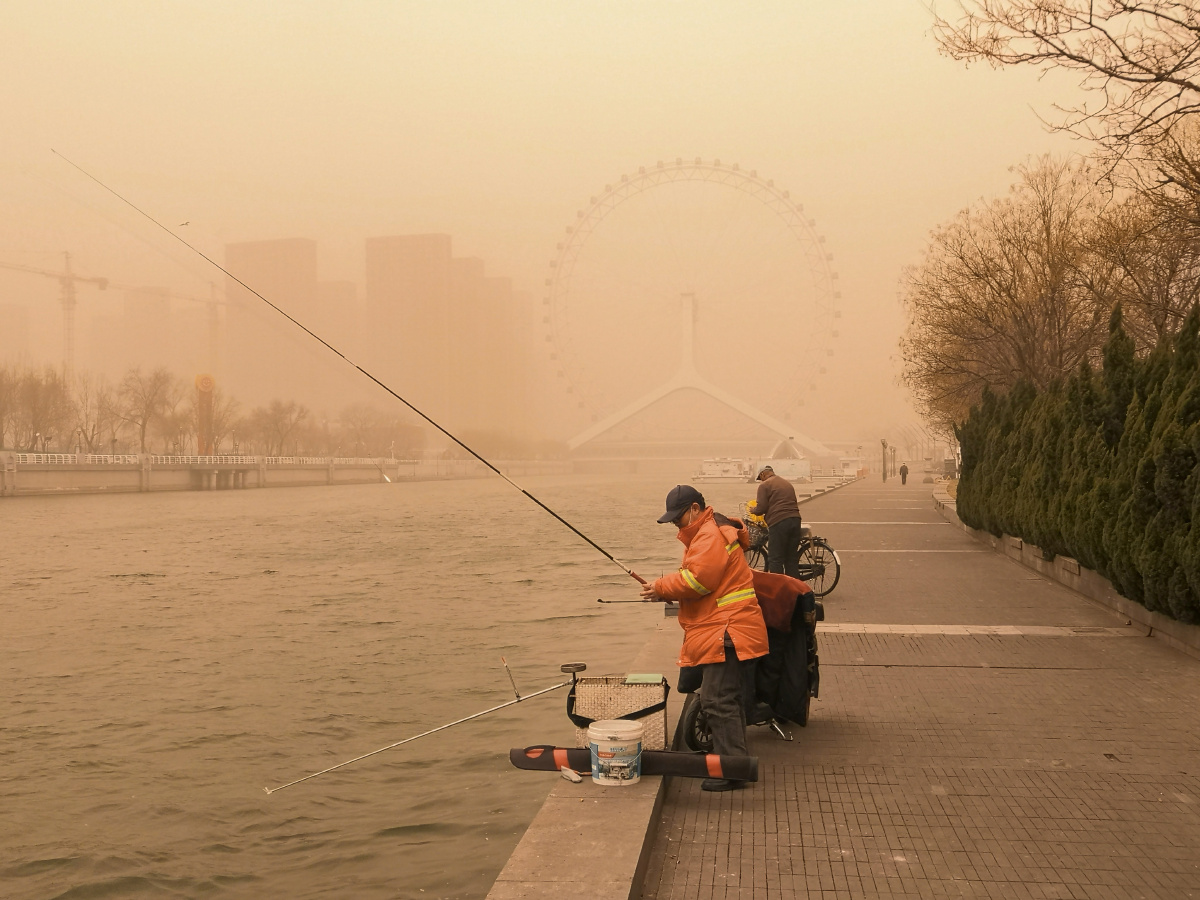 今日大风加沙尘暴下的天津海河多少年未见了