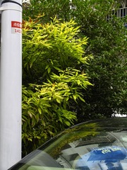 966380
