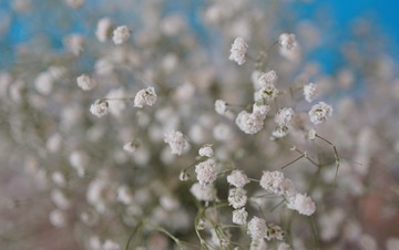 47803FA2-D84B-4E89-851F-19A0878E6CBE/L0/001