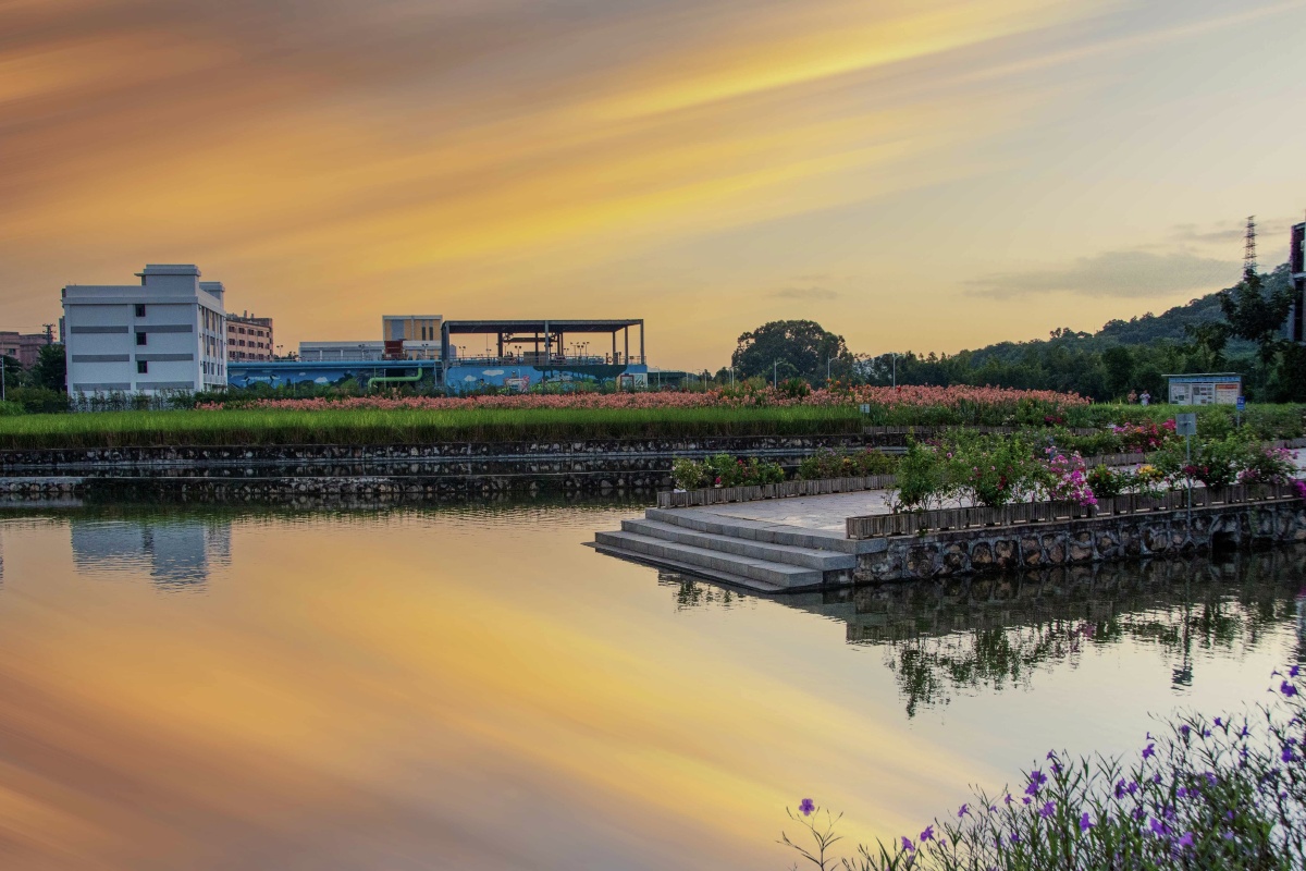 湿地公园摄于深圳坪地