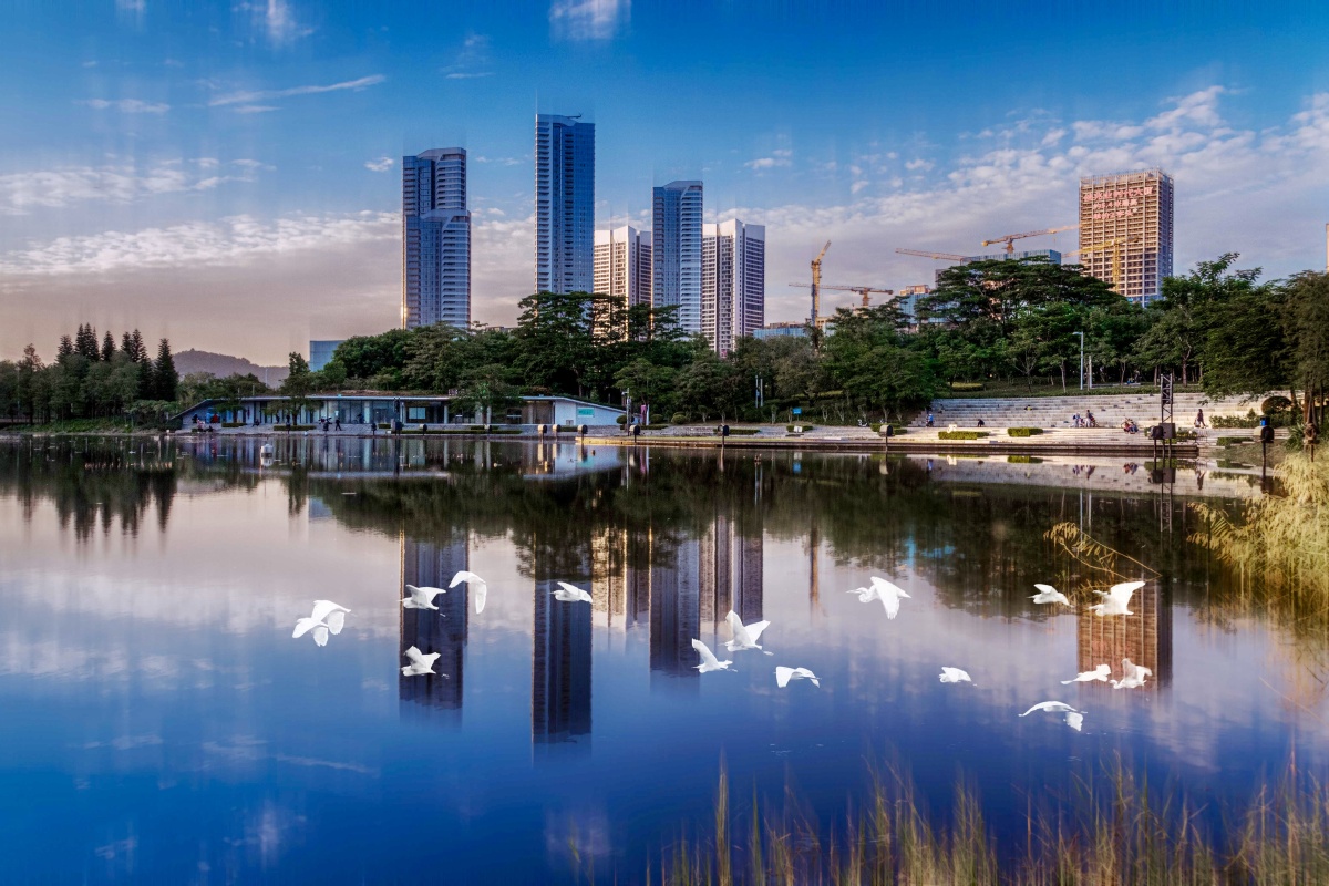 大运公园摄自深圳大运中心