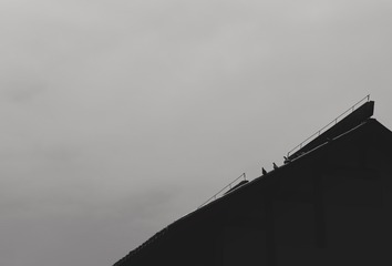 D5502D4F-6A0D-4F44-BD8A-1E8DE6BF051D/L0/001