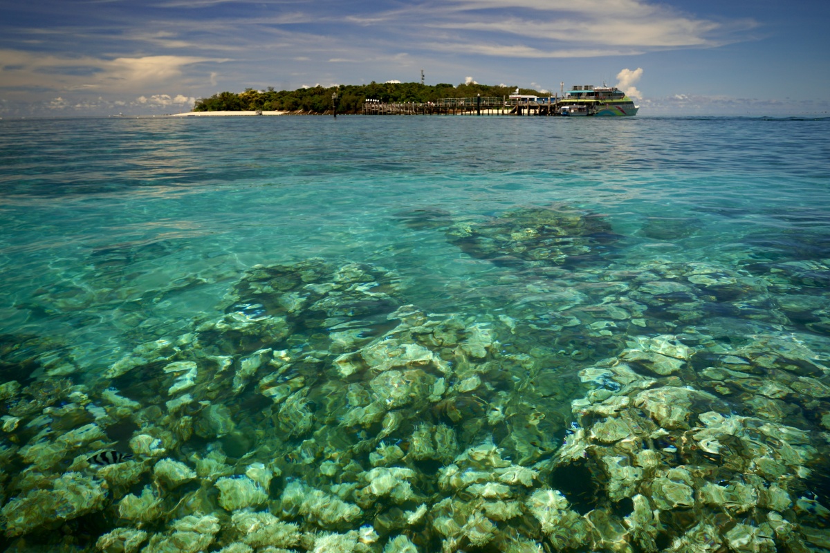 真想要坠入深海里看悠闲游荡的鱼