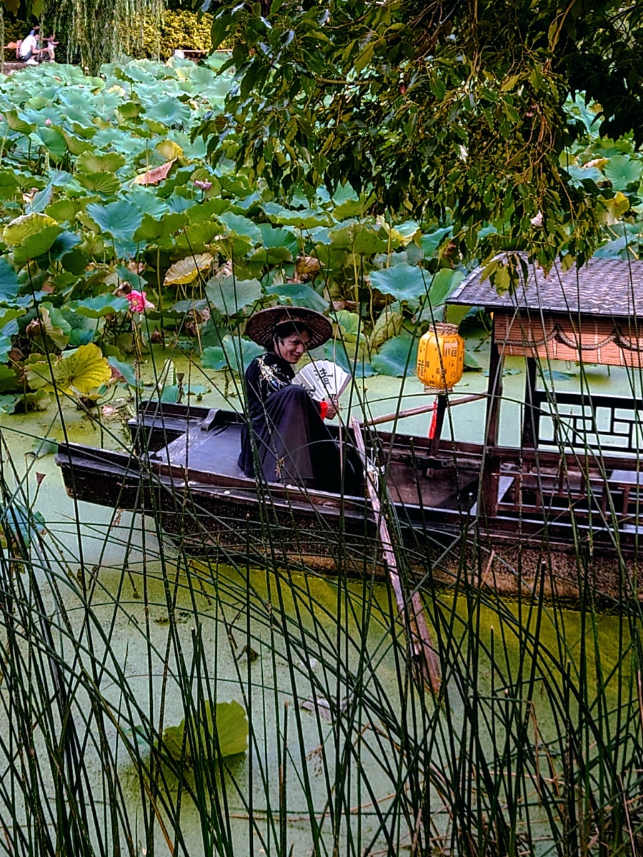 荷塘泛舟