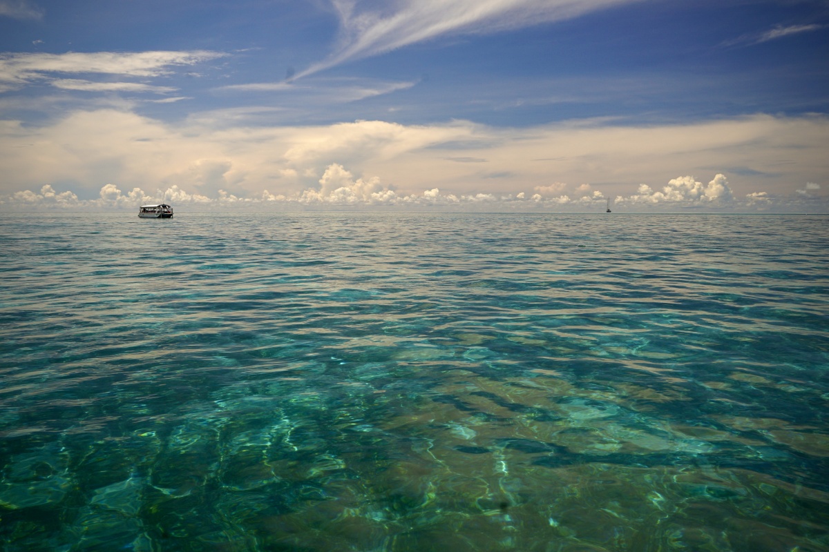 真想要坠入深海里看悠闲游荡的鱼