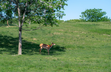 DSC09949