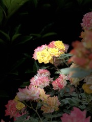 0A773875-83CB-446D-A905-ED02B0A24D56/L0/001