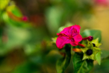 DSC08687