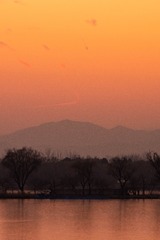 DSC08914