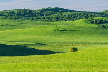 DSC00375
