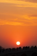 DSC08905