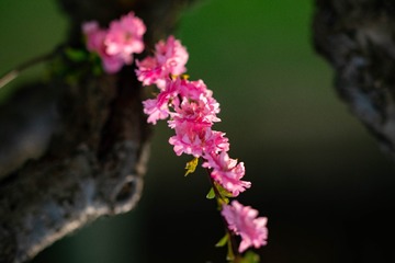 DSC09360