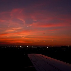 Back|Frankfurt Airport