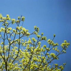 4月