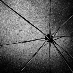 雨中