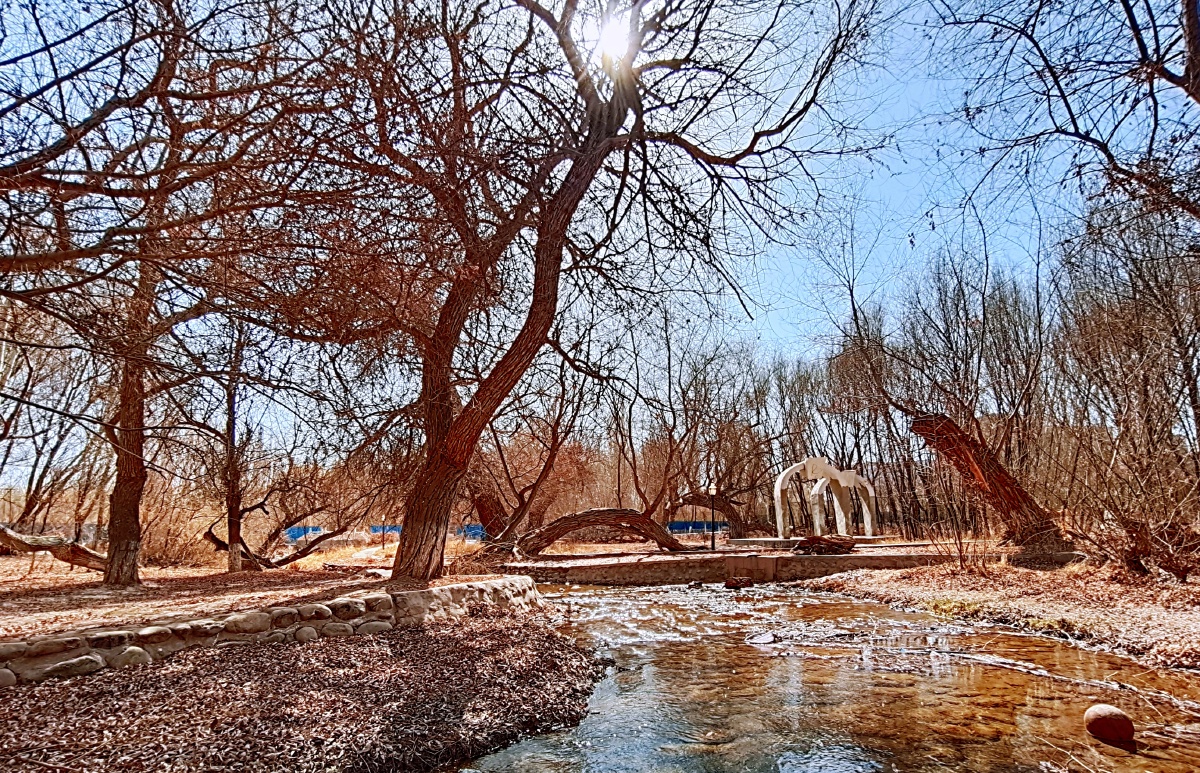 早春时的哈密市全民健身文化公园