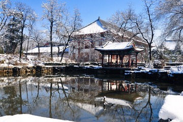 曾亮 鸣鹤园