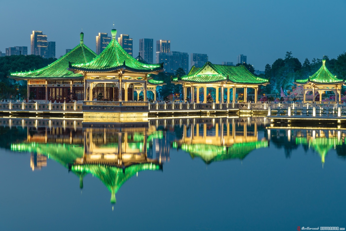 碧潭观鱼拍摄于武汉东湖听涛景区