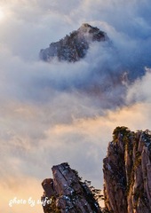 “DSC_5390”为智能对象-1.jpg