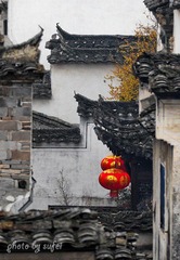 “DSC_5985”为智能对象-1.jpg
