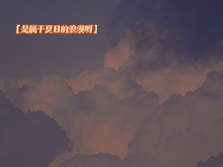 11613
