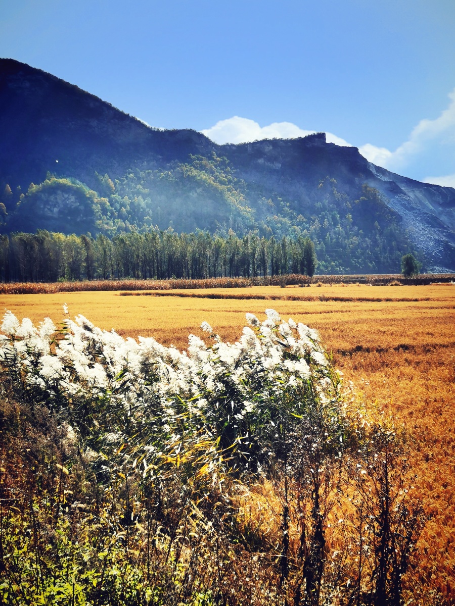 田野秋色 - 积翠山人 - 图虫