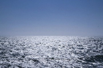 _DSC8710