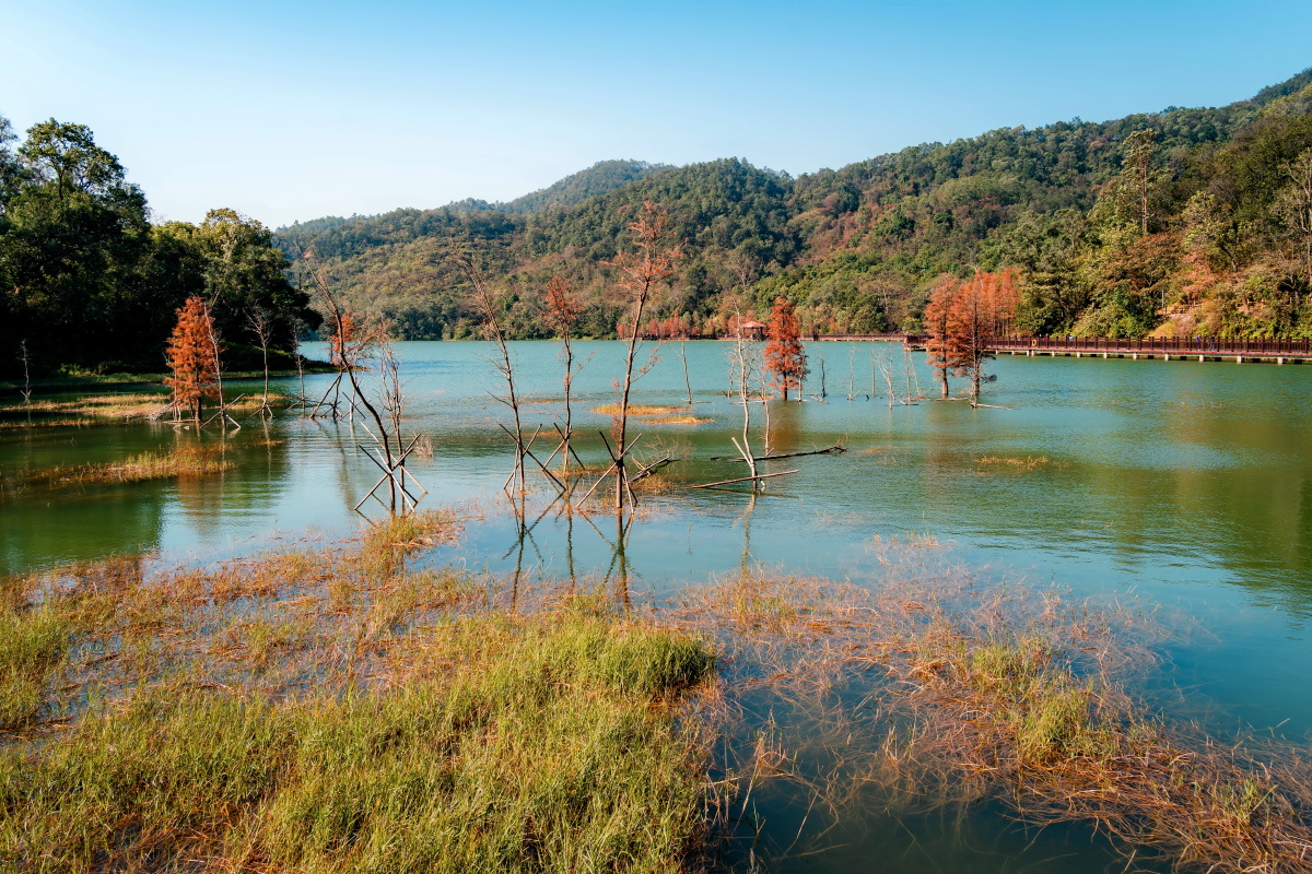 冬日秋色江门新会石涧公园